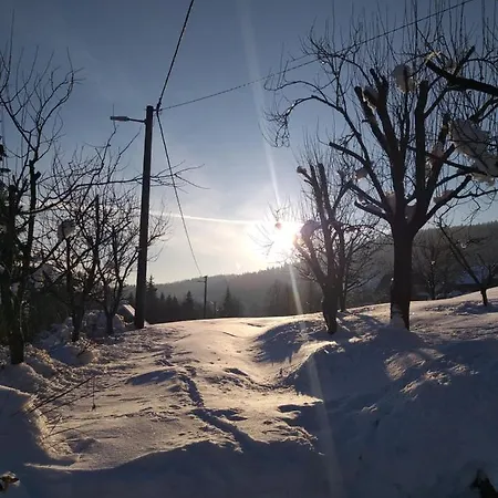Vilă Meyer Stara Susica